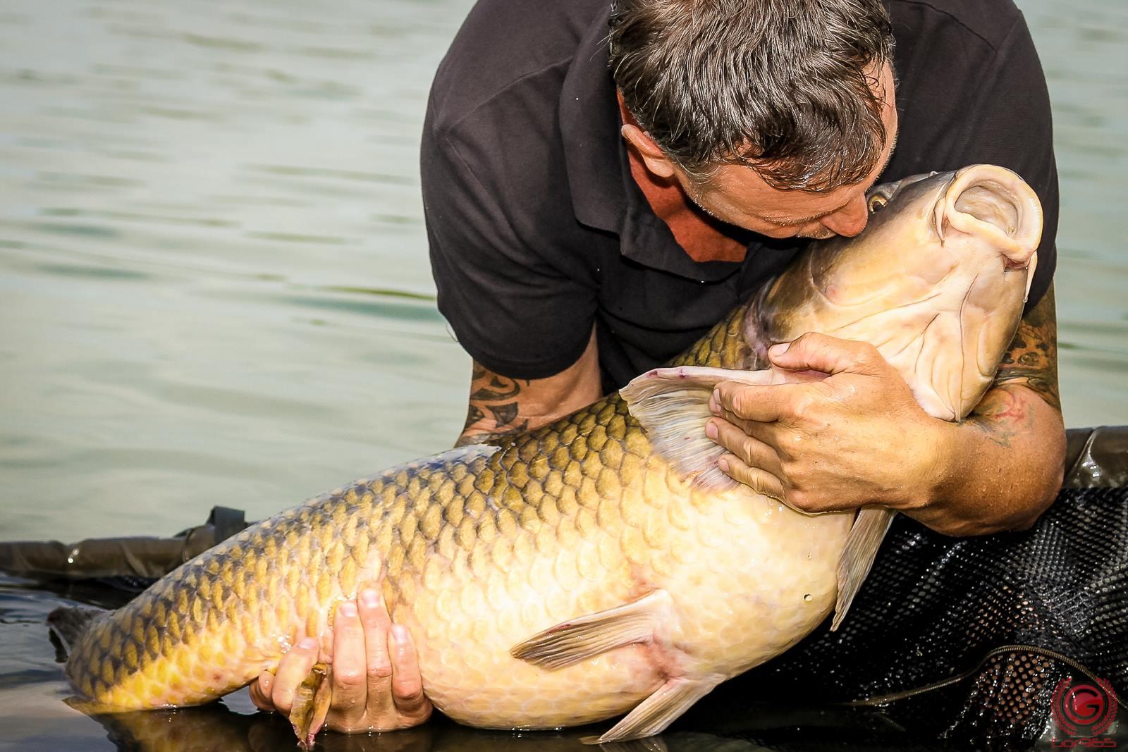 Pana in perioada de prohibitie se poate pescui pe baza permisului ANPA din 2017.
